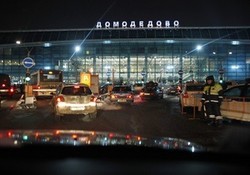 The airport Domodedovo found 40 illegal immigrants